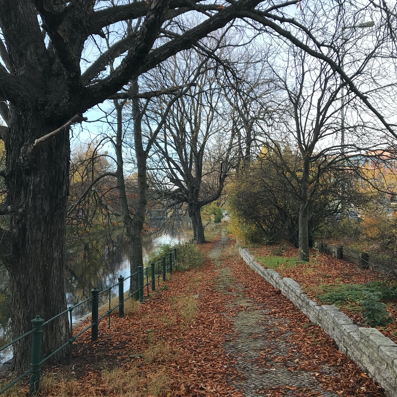 z_Reichpietschufer11